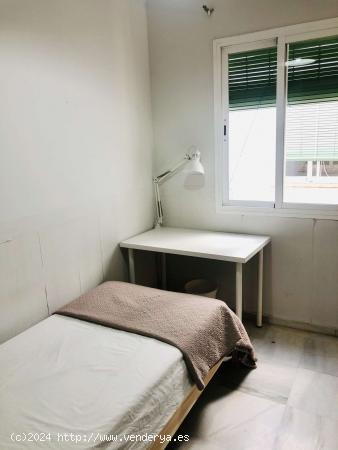  Se alquila habitación en piso de 5 dormitorios en Centro, Sevilla - SEVILLA 