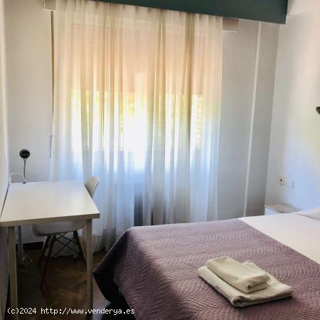  Se alquila bonita habitación en piso de 10 dormitorios en Centro, Sevilla - SEVILLA 