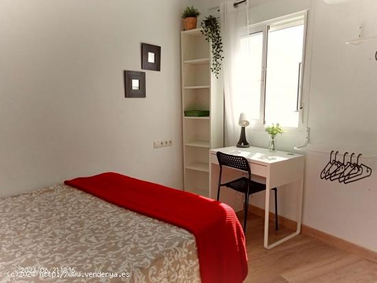  Se alquila habitación en piso de 2 dormitorios en Sevilla - SEVILLA 