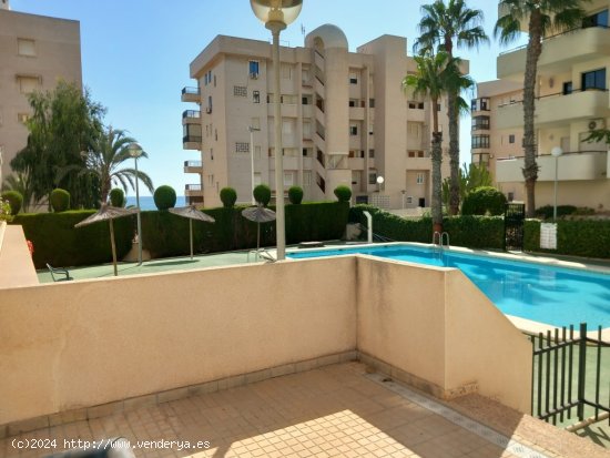  Apartamento en Venta en Arenales Del Sol, Los Alicante EL ALTET 