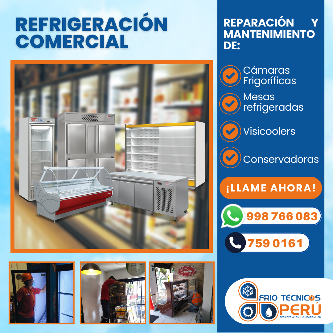  CONSERVADORAS - Reparación y Mantenimiento 7590161 
