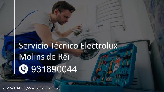  Servicio Técnico Electrolux Molins de Rei 931890044 