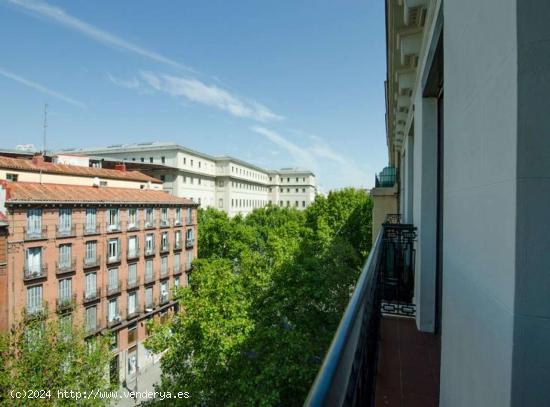  Piso en Arganzuela en Madrid - MADRID 