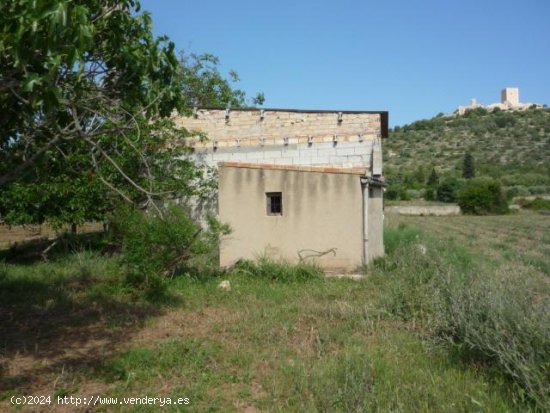  Casa rural en venta  en Ulldecona - Tarragona 