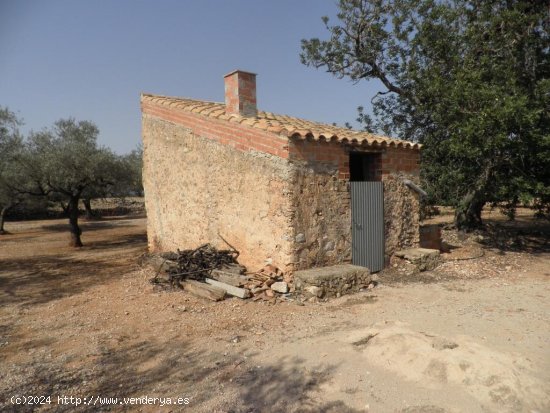  Casa rural en venta  en Roquetes - Tarragona 