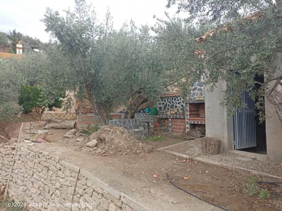  casa con terreno canjayar PARAJE EL MAJUELO con olivos y arboles frutales y agua de la comunidad - A 