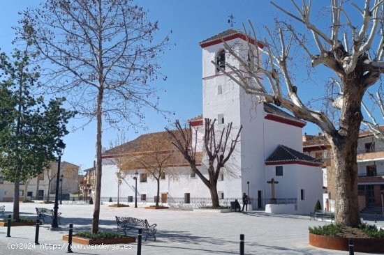  Dúplex en alquiler en Ogíjares (Granada) 