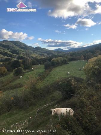  Borda para rehabilitar en el Pirineo Aragones - HUESCA 