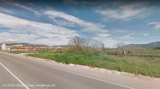  Suelo rústico en venta  en Ulldecona - Tarragona 