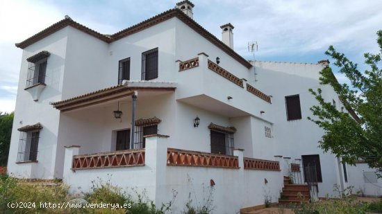  Casa en venta en Ronda (Málaga) 