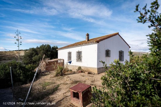 Casa en venta en Manilva (Málaga) 