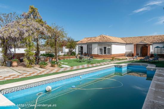  Chalet con piscina y gran parcela en Los Rebites, Huetor Vega - GRANADA 