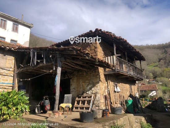  Casa en venta en Lena (Asturias) 