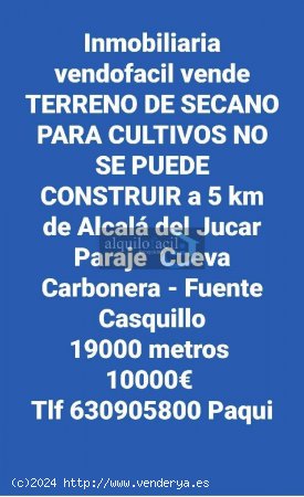 SelE VENDE TERRENO DE CULTIVO A 5 KM DE ALCALA DEL JUCAR/ 19000 METROS/ 10000€ 