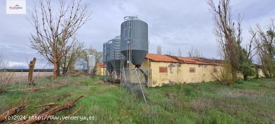  101- Terreno rústico con naves y dos casas en Villeguillo (Segovia) - SEGOVIA 