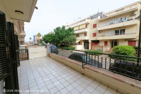  Apartamento en alquiler en Palma de Mallorca (Baleares) 