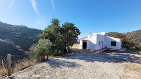  Villa en venta en Sayalonga (Málaga) 