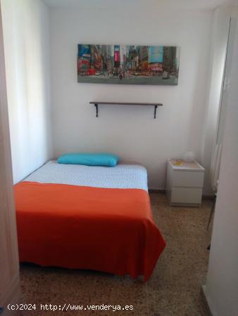  Alquiler de habitaciones en apartamento de 2 habitaciones en Santa Catalina - BALEARES 