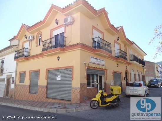  Local en alquiler en Alhaurín de la Torre (Málaga) 