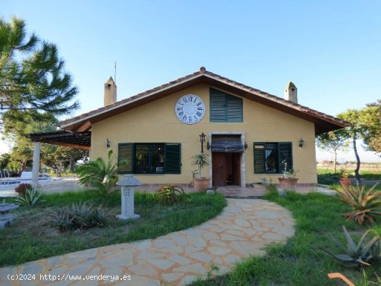  Villa en venta en Dolores (Alicante) 