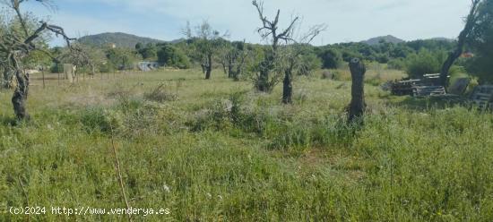  Terreno No Edificable en Sant Llorenç - BALEARES 