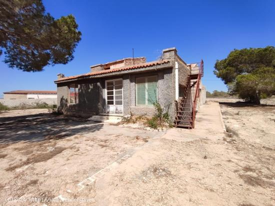  Casa de campo con amplia parcela y vistas al mar en Santa Pola, Alicante, Costa Blanca - ALICANTE 