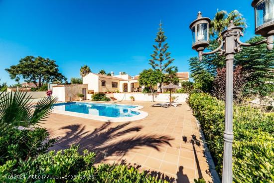  This is  a typical Spanish style Villa with land and fruit-trees for sale - ALICANTE 