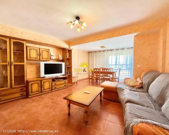  Apartamento en alquiler en Benidorm (Alicante) 