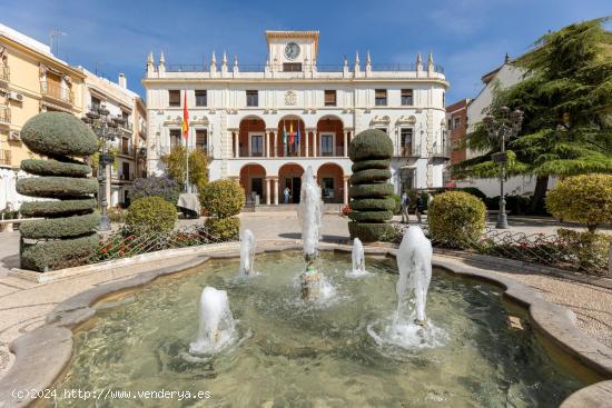  Casa señorial estilo palacete en Priego de Córdoba - CORDOBA 