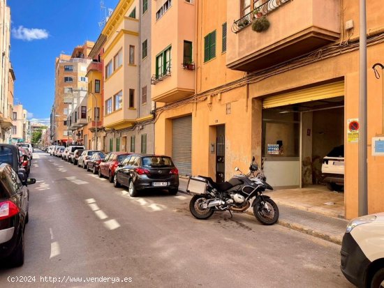  Local en alquiler en Palma de Mallorca (Baleares) 