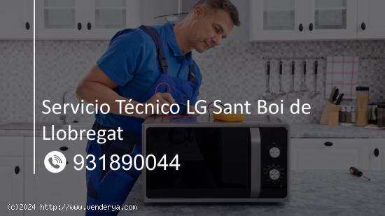  Servicio Técnico Lg Sant Boi de Llobregat 931890044 