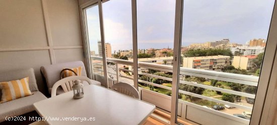  Apartamento en alquiler en Torremolinos (Málaga) 