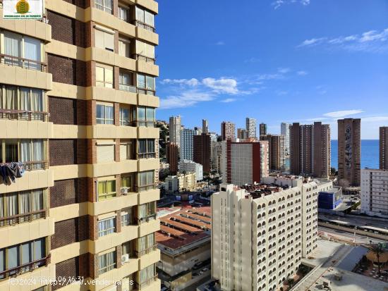  Apartamento de 1 dormitorio en Urbanización completa Playa Levante Benidorm - ALICANTE 
