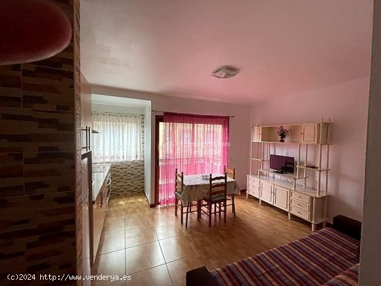  Apartamento en alquiler en Arona (Tenerife) 
