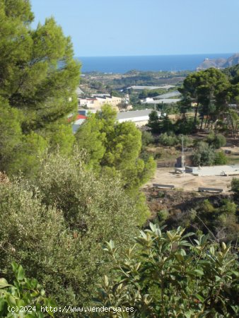  Casa-Chalet en Venta en Callosa d En Sarria Alicante 