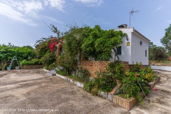  Casa en venta en Bonares (Huelva) 
