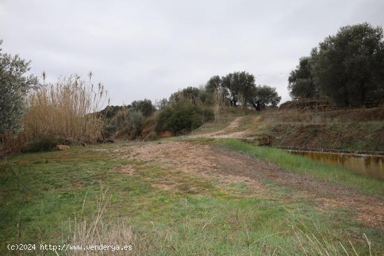 SE VENDEN  Parcelas de regadío en Paraje Val de Hueso - Alcañiz (Teruel). Ref.TR01122023 - TERUEL