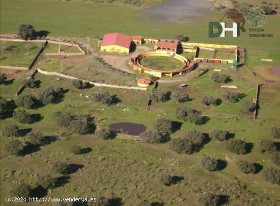 Villa en venta en Torrejón el Rubio (Cáceres)