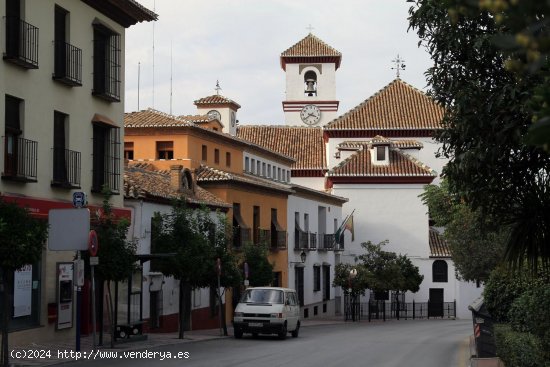  Piso en alquiler en La Zubia (Granada) 