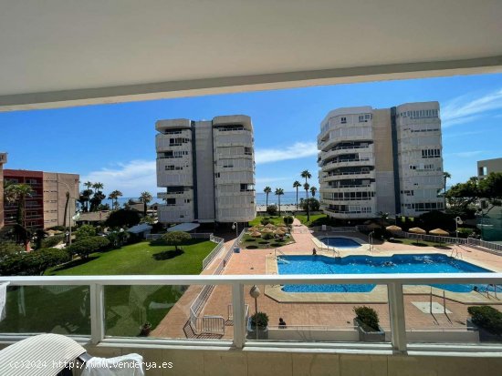  Apartamento en alquiler en Torremolinos (Málaga) 