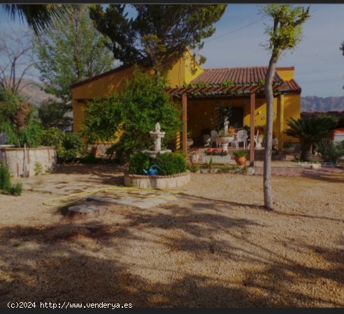  Casa-Chalet en Venta en Orihuela Alicante 