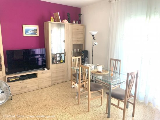 Apartamento en venta en L Ametlla de Mar (Tarragona)