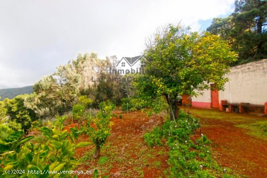 Casa de campo-Masía en Venta en Llano Negro Santa Cruz de Tenerife