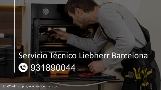  Servicio Técnico Liebherr Barcelona 931890044 