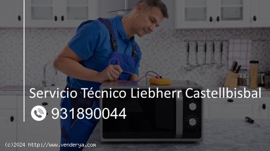  Servicio Técnico Liebherr Castellbisbal 931890044 