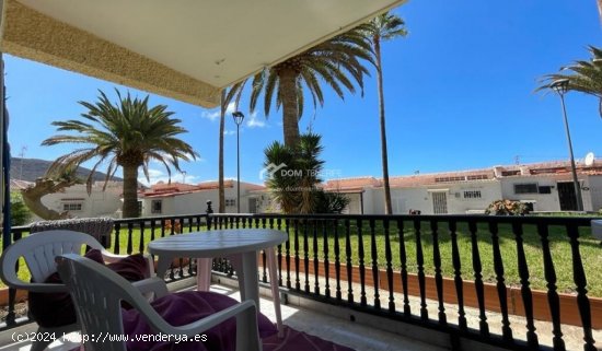  Apartamento en Alquiler en Adeje Santa Cruz de Tenerife 