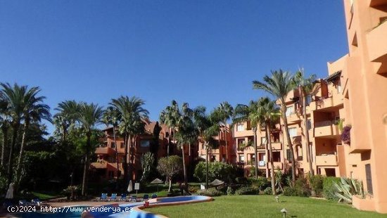  Apartamento en alquiler en Marbella (Málaga) 