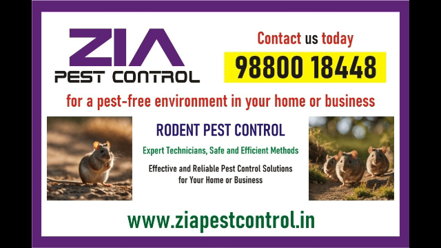  Zia Pest Control | Anti termite Treatment | Woodbored | trusted name 1864 