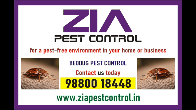  Pest Control service Rs. 999/- only | contact Zia pest control | 1825 