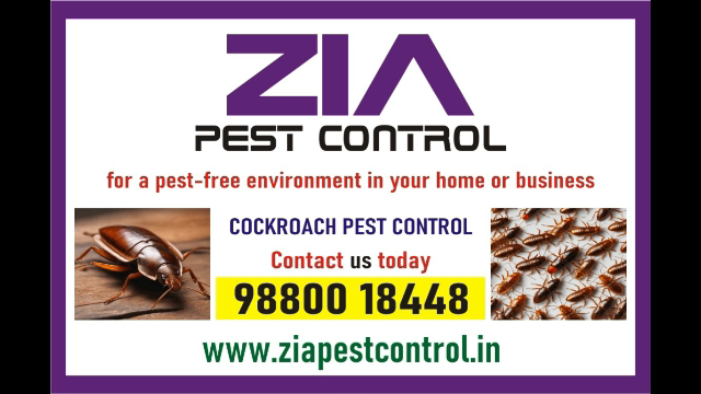  Our expert use safe and efficient methods to ensure a pest-free | 1873 